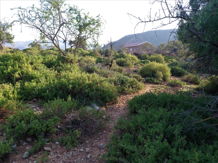 Commercial Property for Sale in Uniondale Rural Western Cape